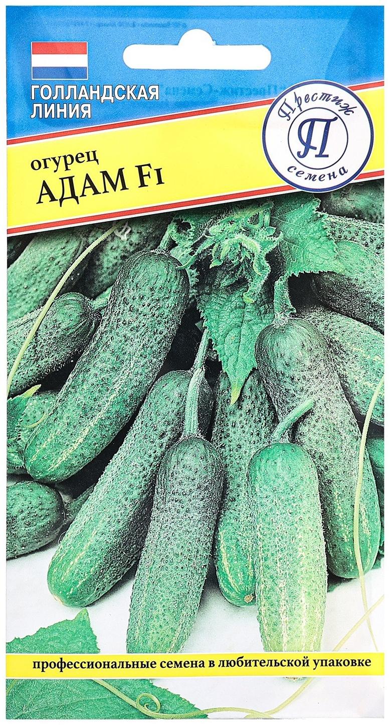 Семена огурца Адам F1, 5 шт,