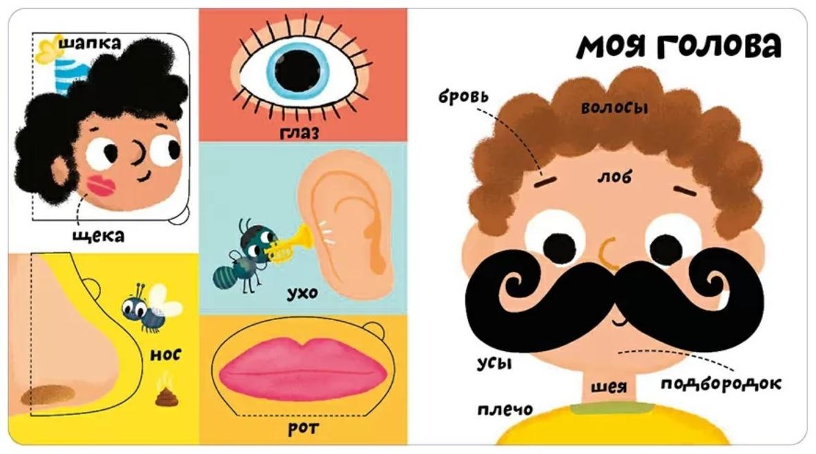 Мои первые 100 слов с окошками. Мое тело