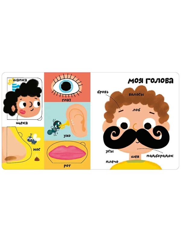 Мои первые 100 слов с окошками. Мое тело