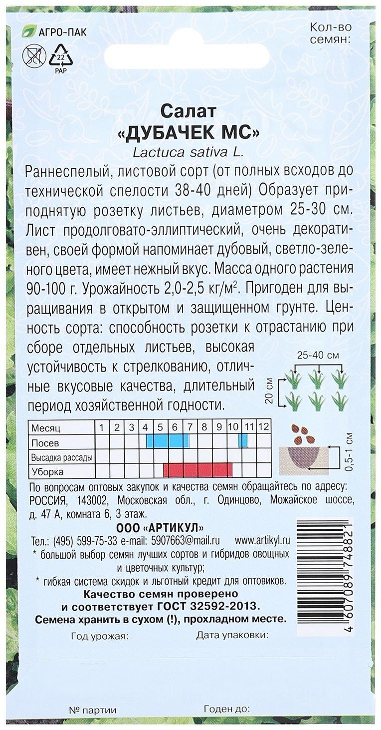 Семена Салат 