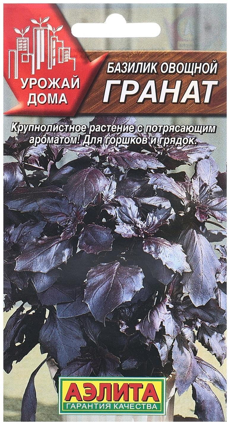 Семена Базилик овощной Гранат   Урожай дома Ц/П 0,1г