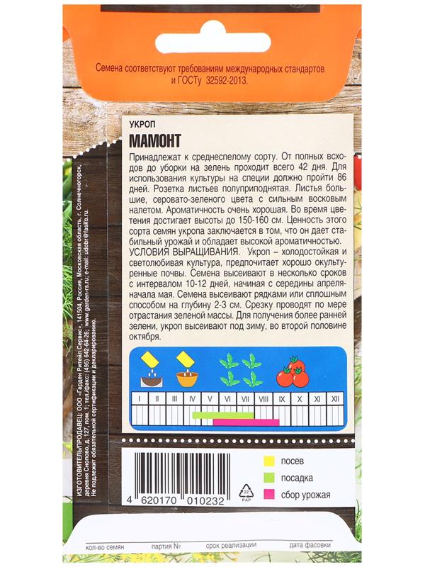 Семена Укроп 