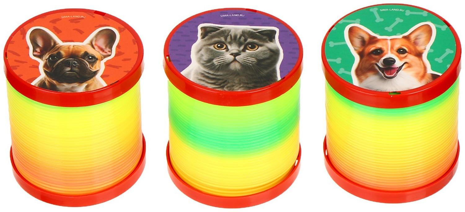 Пружинка -  радуга 