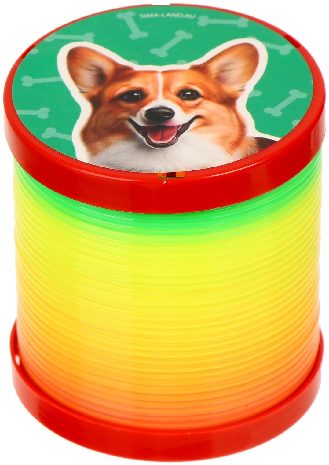 Пружинка -  радуга 