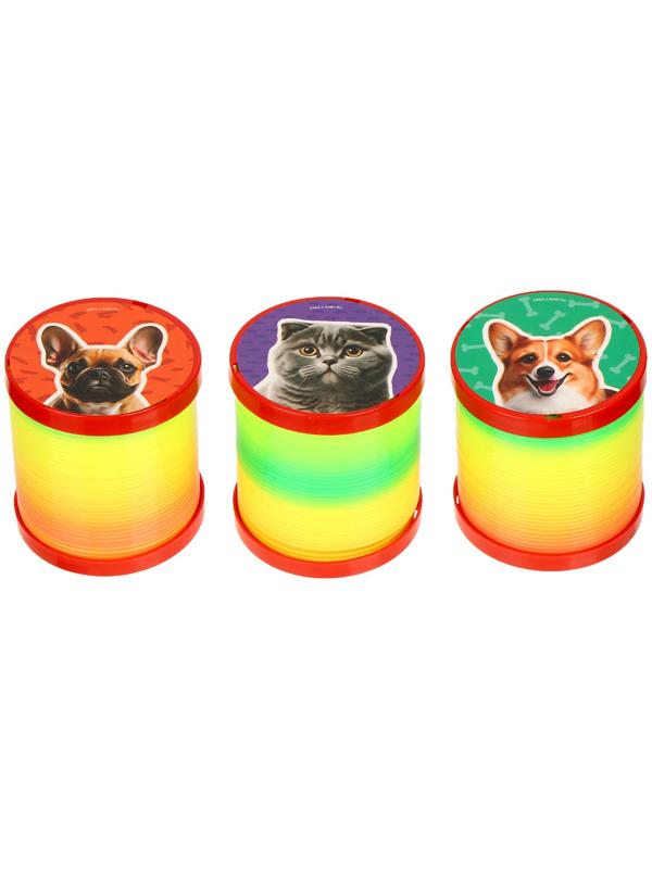 Пружинка -  радуга 