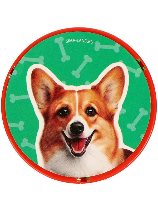 Пружинка -  радуга 