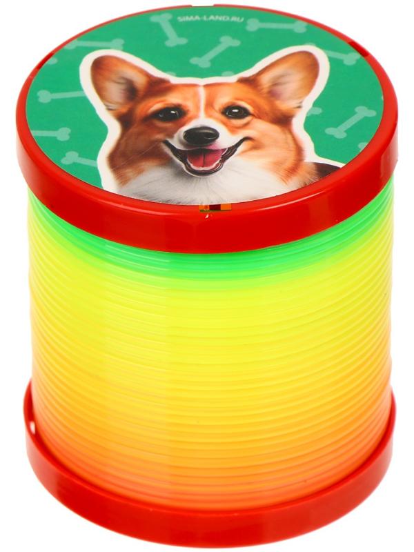 Пружинка -  радуга 