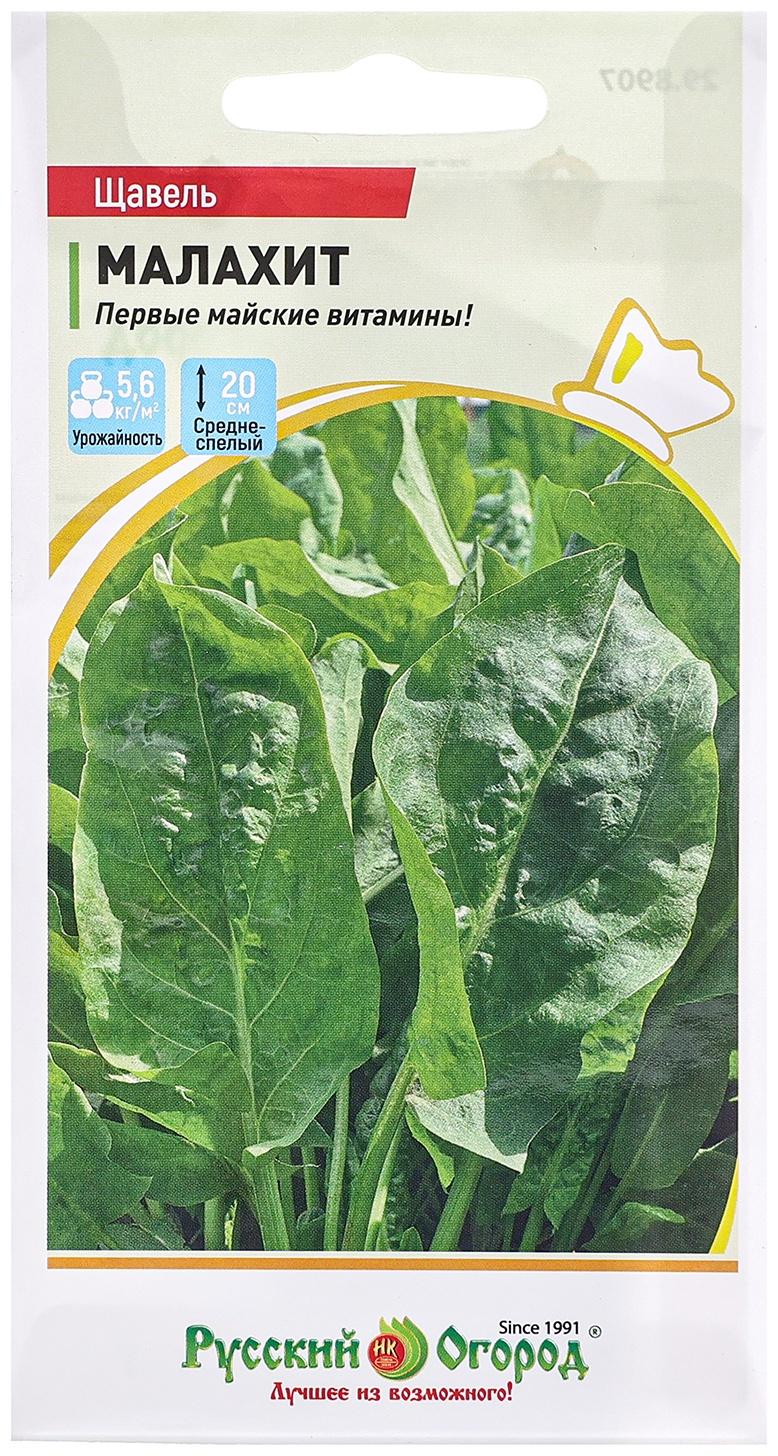 Семена Щавель 