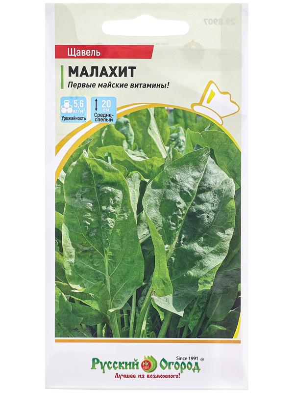 Семена Щавель 