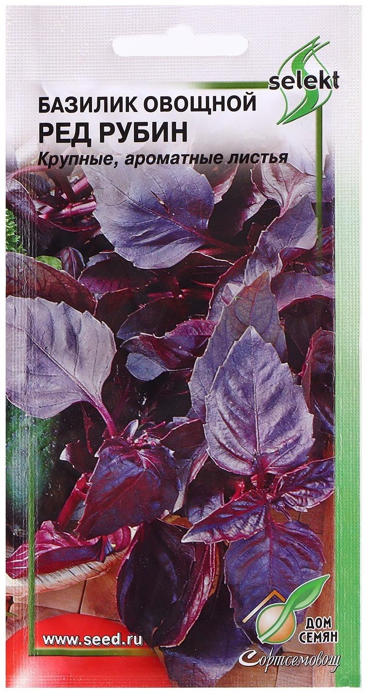 Семена Базилик 