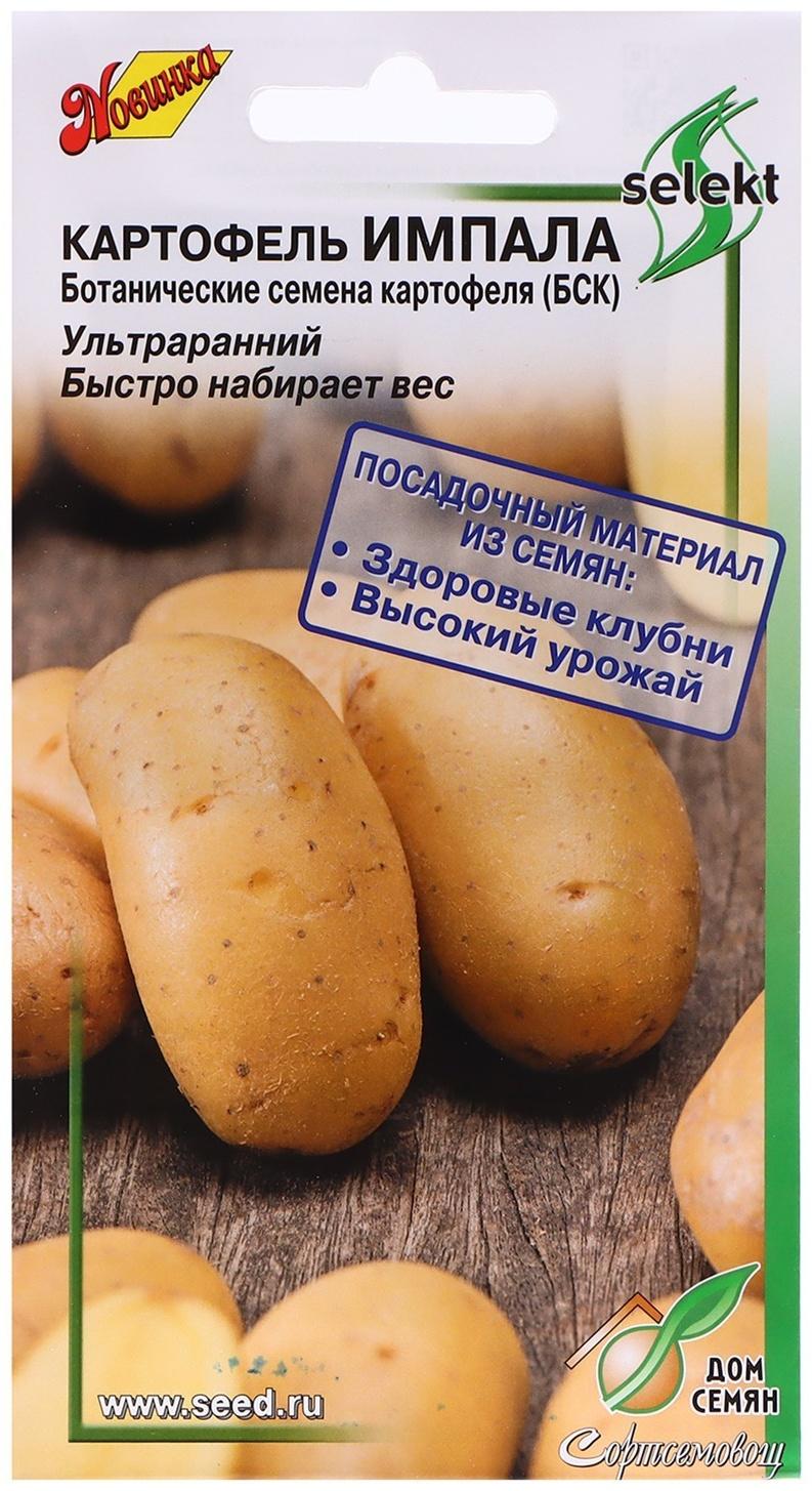 Семена Картофель 
