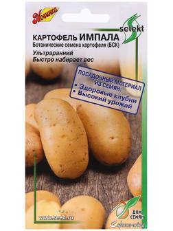 Семена Картофель 