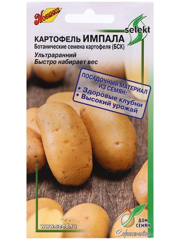 Семена Картофель 