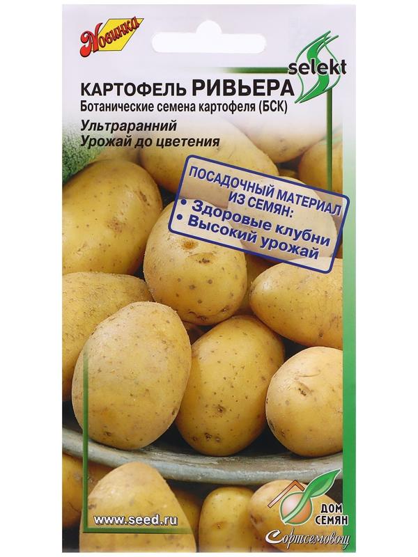 Семена Картофель 