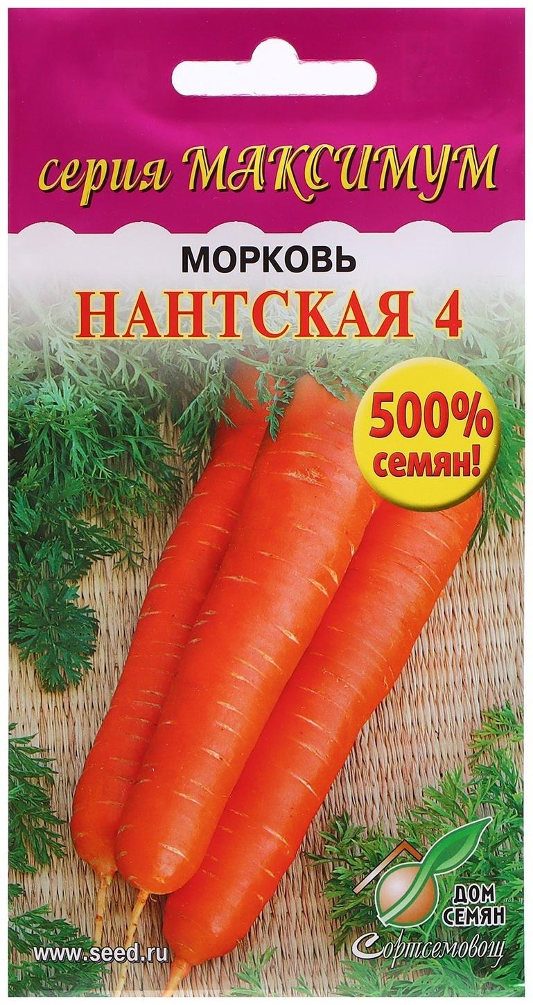 Семена Морковь 