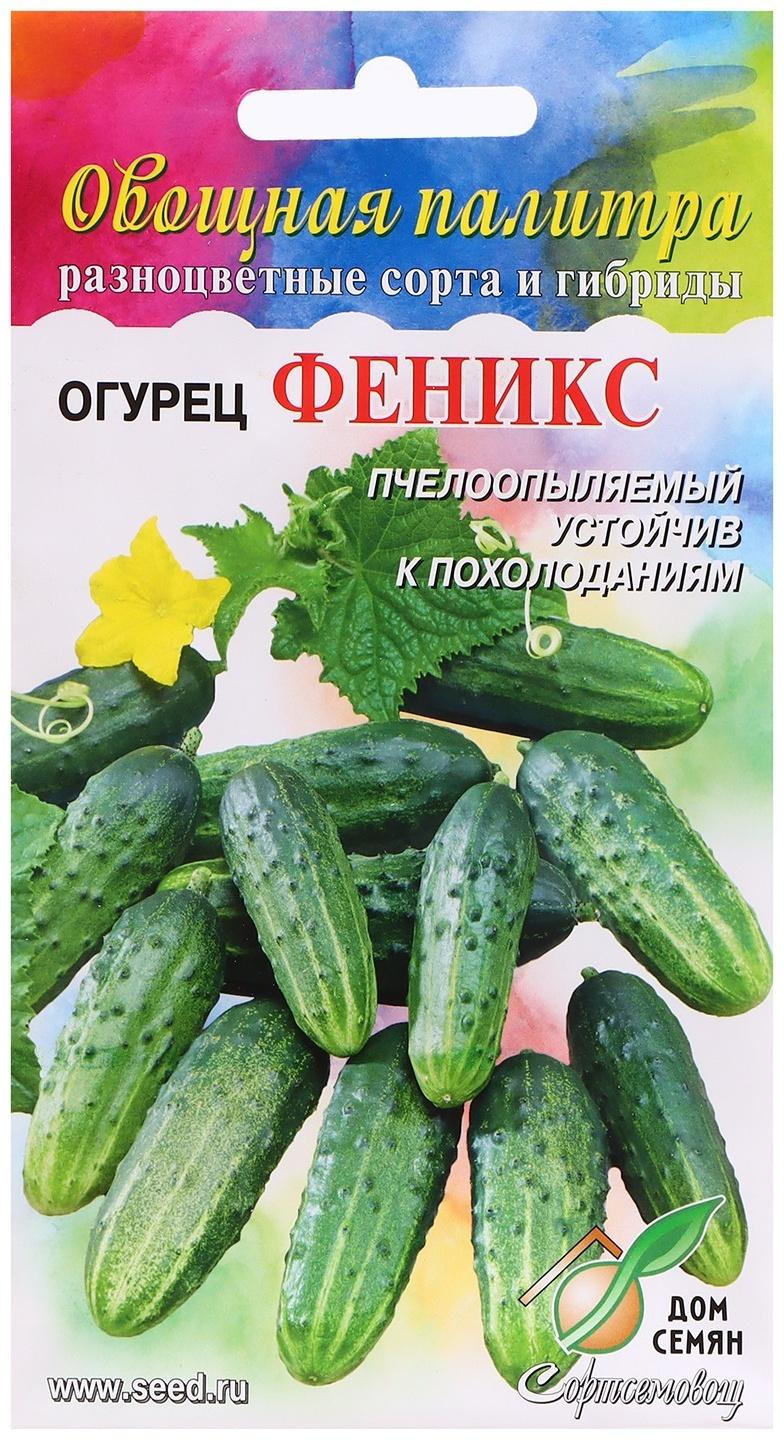 Семена Огурец 