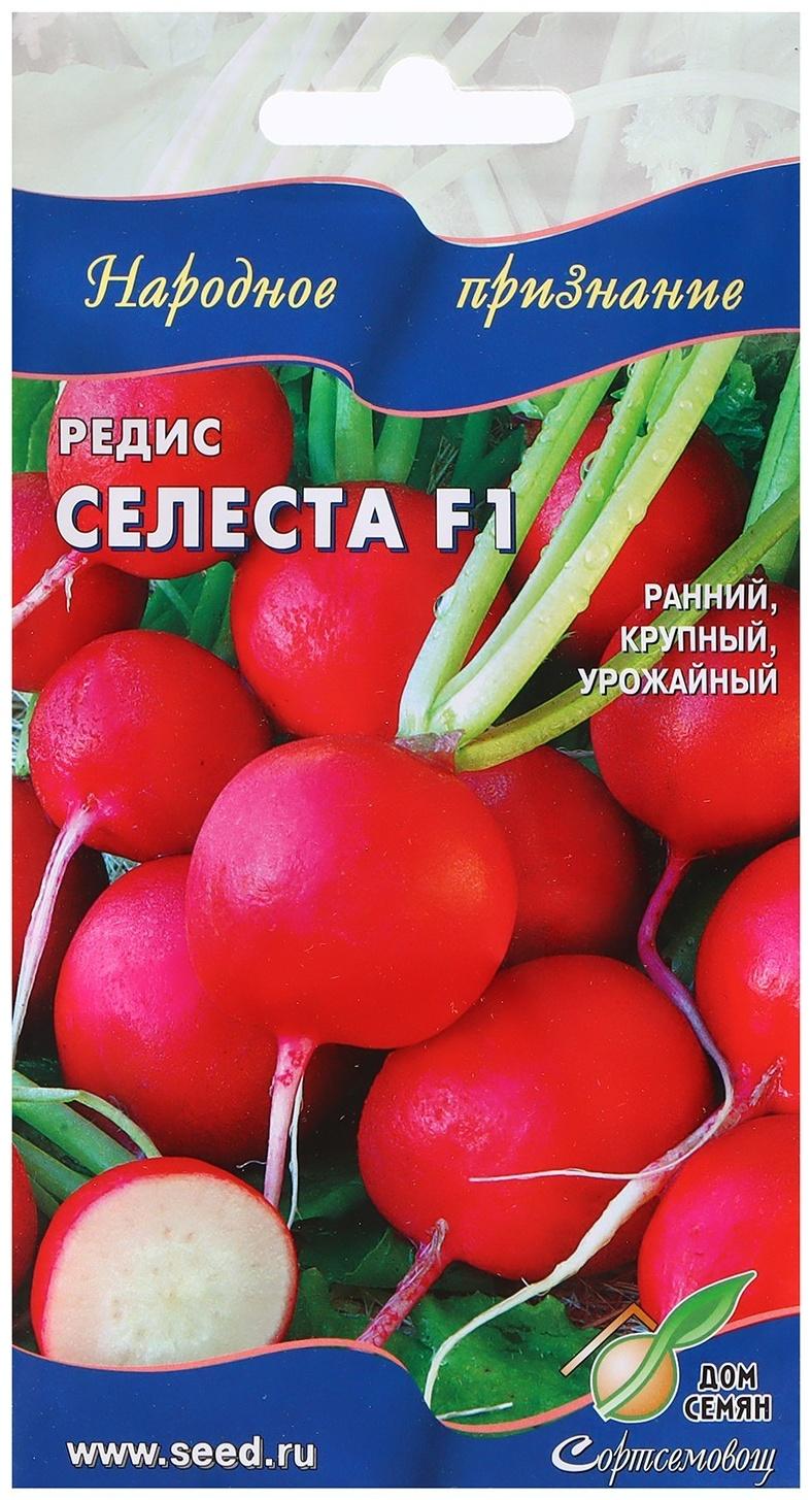 Семена Редис 