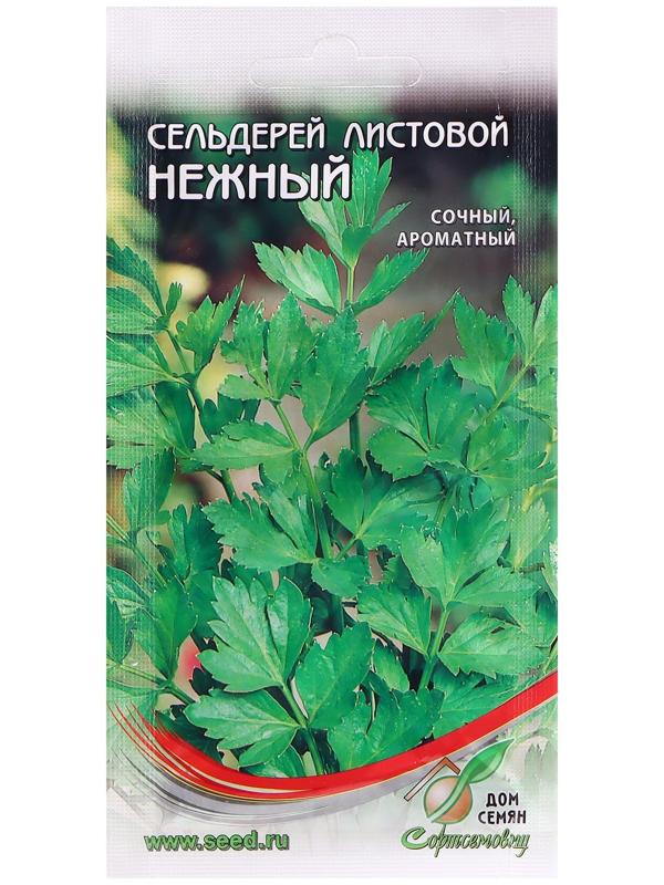 Семена Сельдерей 