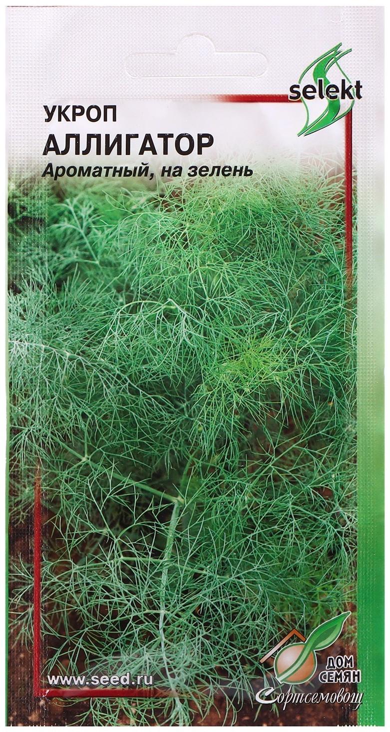 Семена Укроп 
