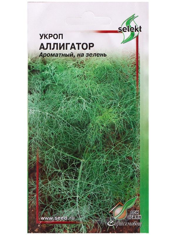 Семена Укроп 