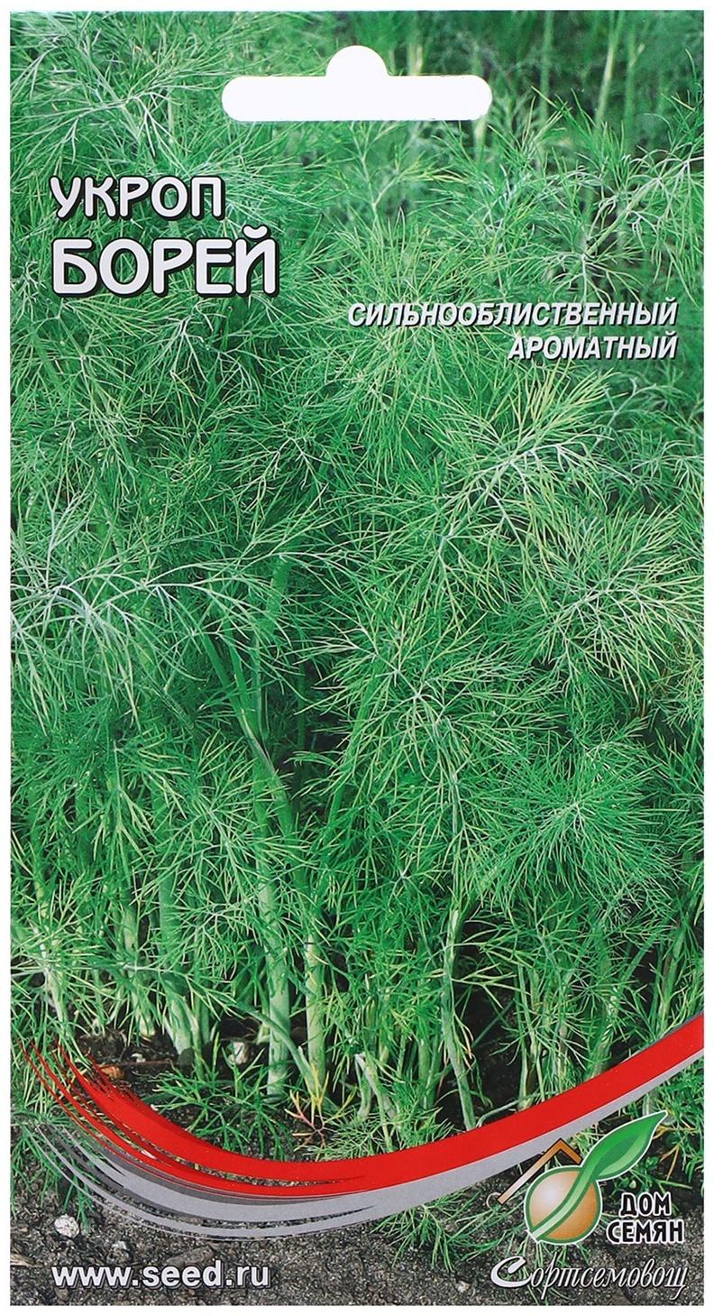 Семена Укроп 