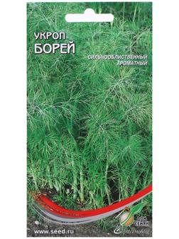 Семена Укроп 
