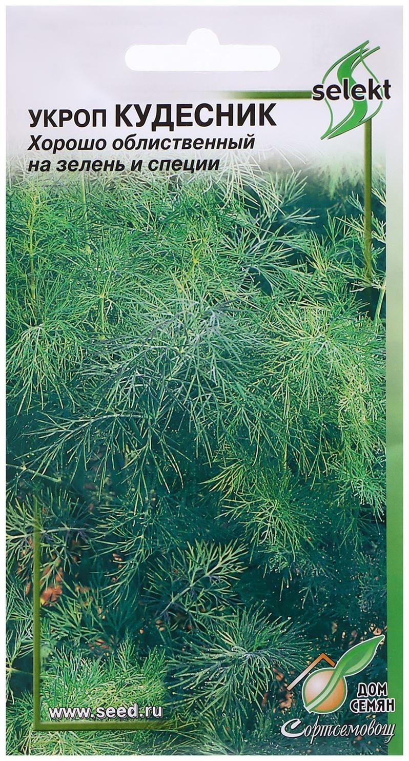 Семена Укроп 