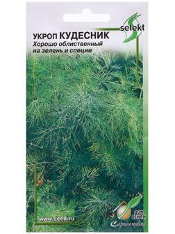 Семена Укроп 