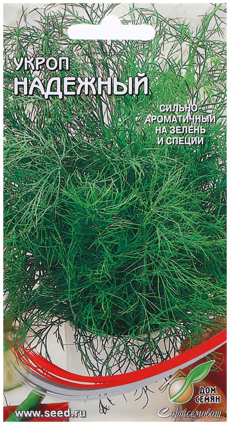 Семена Укроп 