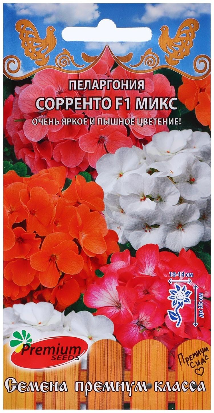 Семена цветов Пеларгония крупноцветковая 