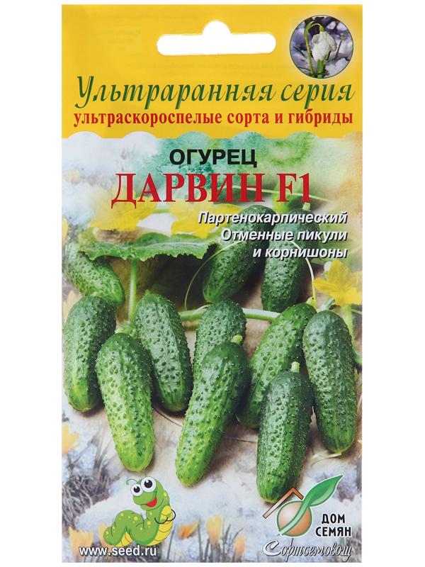 Семена Огурец 