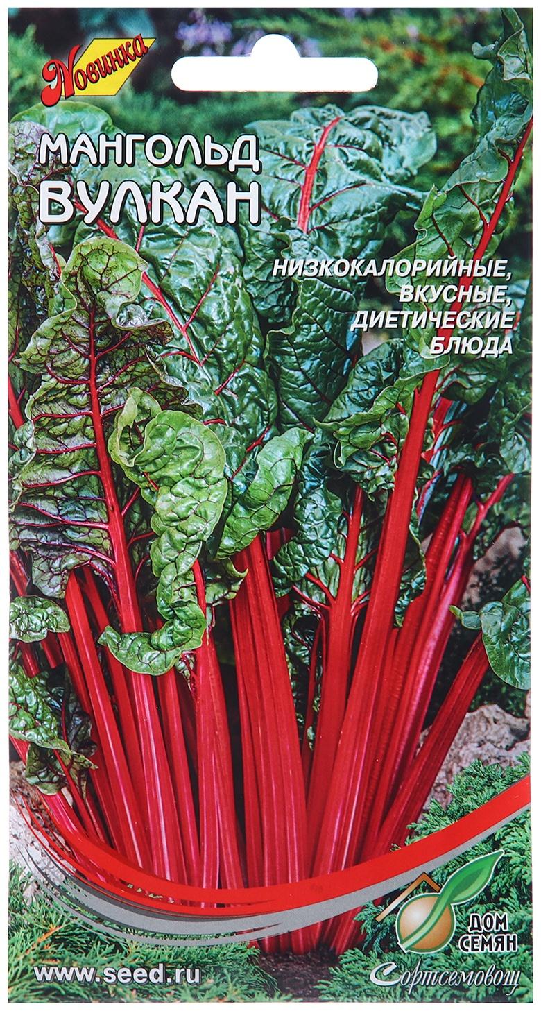 Семена Мангольд 