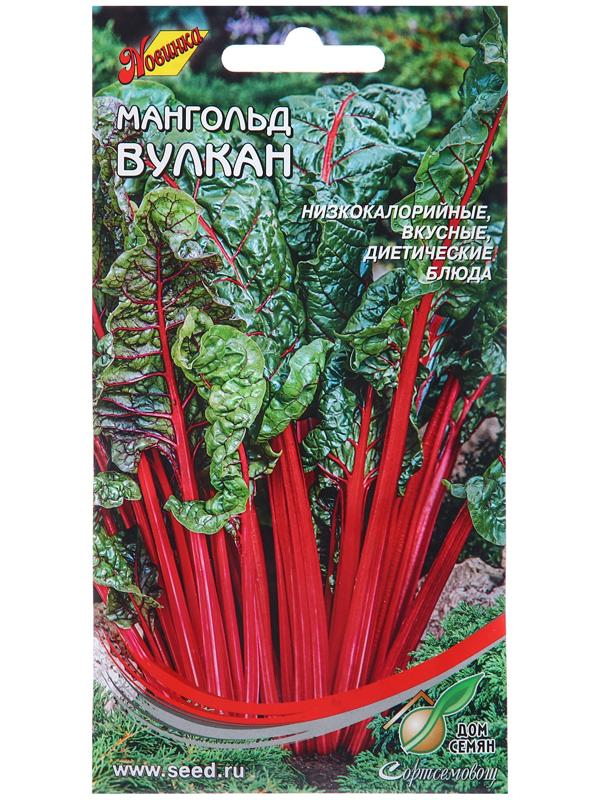 Семена Мангольд 