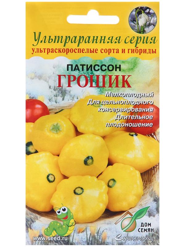 Семена Патиссон 