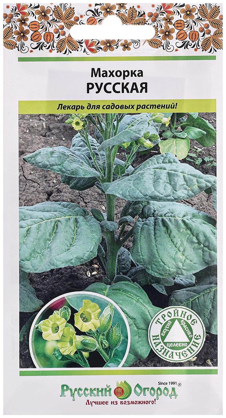 Семена Махорка 