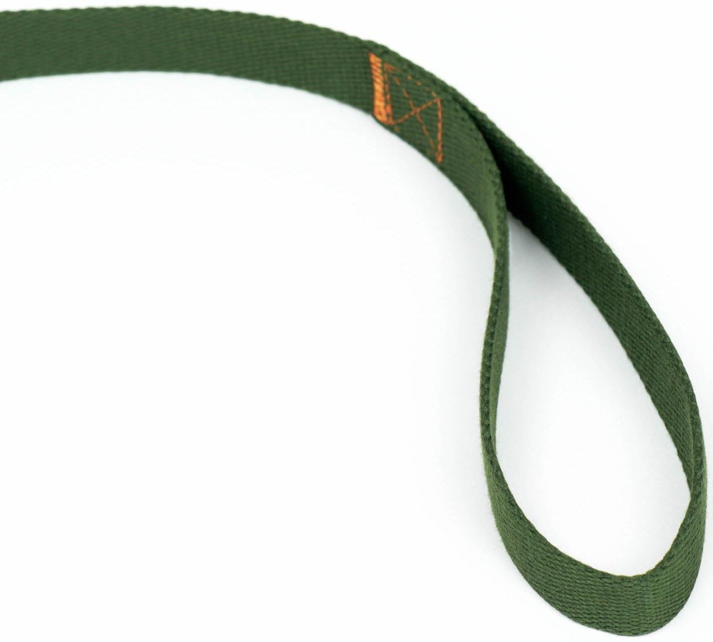 Поводок брезентовый, 10 м х 2,5 см, хаки