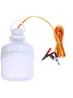 Фонарь кемпинговый, 10 Вт, SMD 2835, кабель l-1.5 м, с зажимом от 12 В, d-7 см