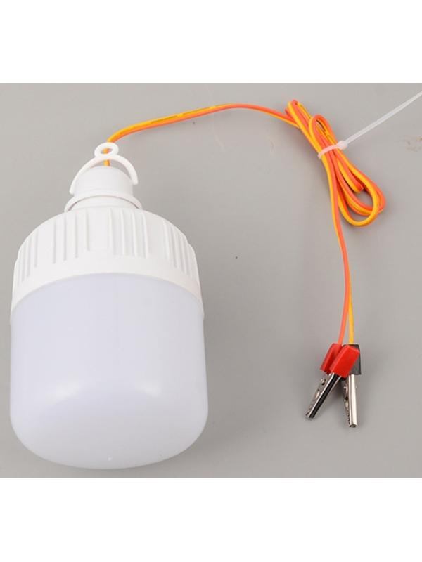 Фонарь кемпинговый, 10 Вт, SMD 2835, кабель l-1.5 м, с зажимом от 12 В, d-7 см