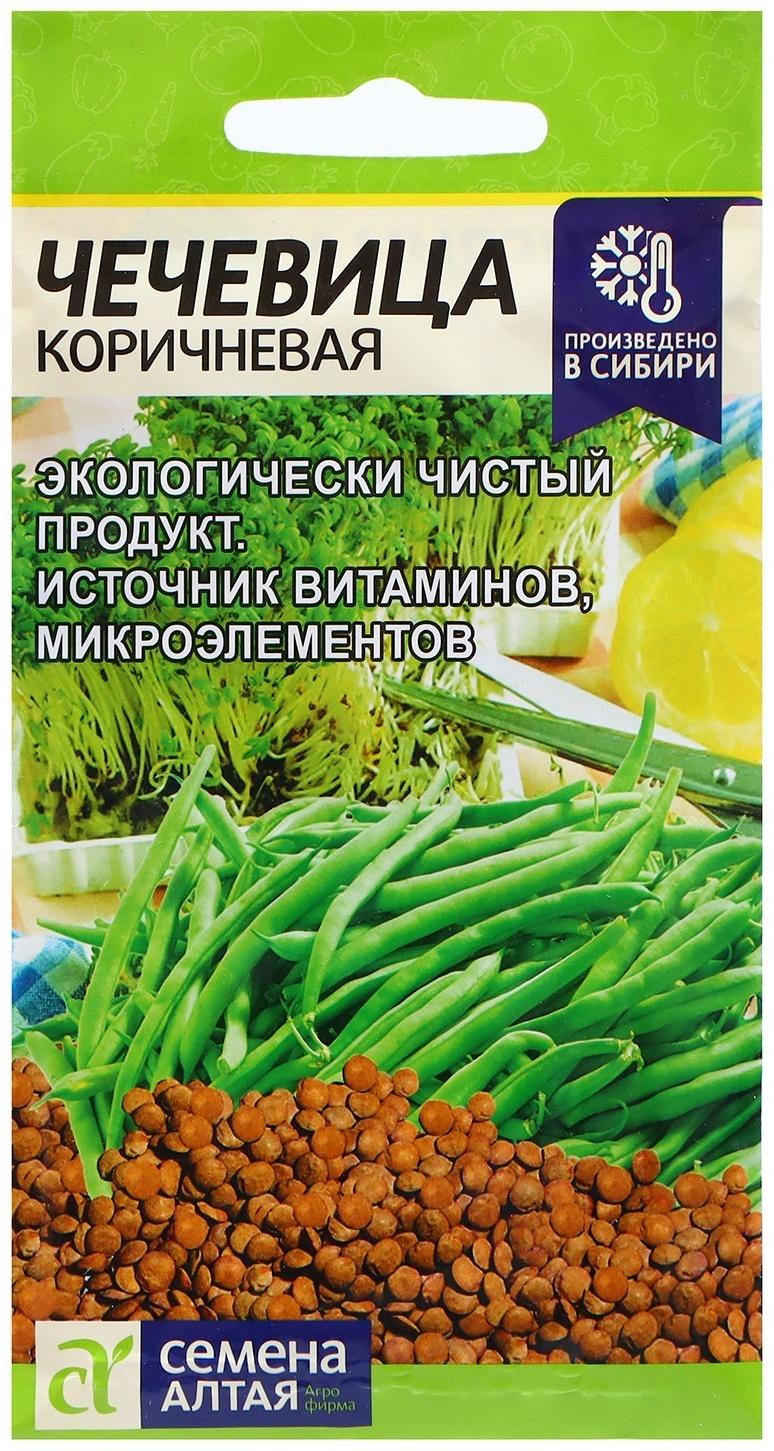 Семена Чечевица 