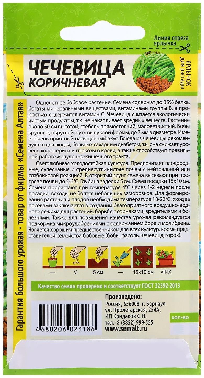 Семена Чечевица 