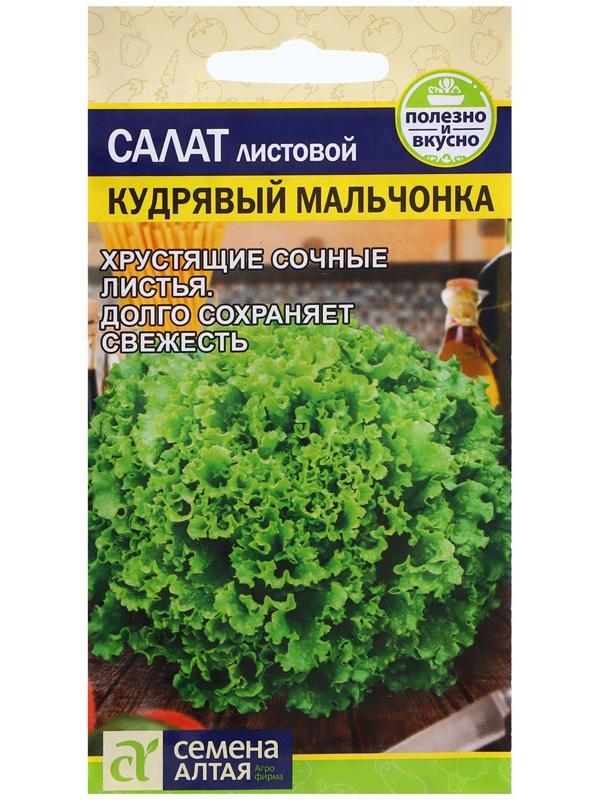 Семена Салат 