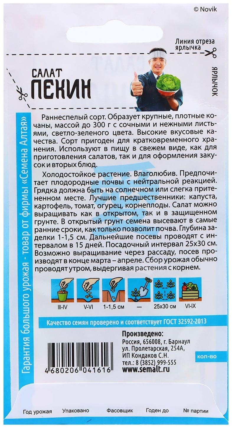 Семена Зелень 