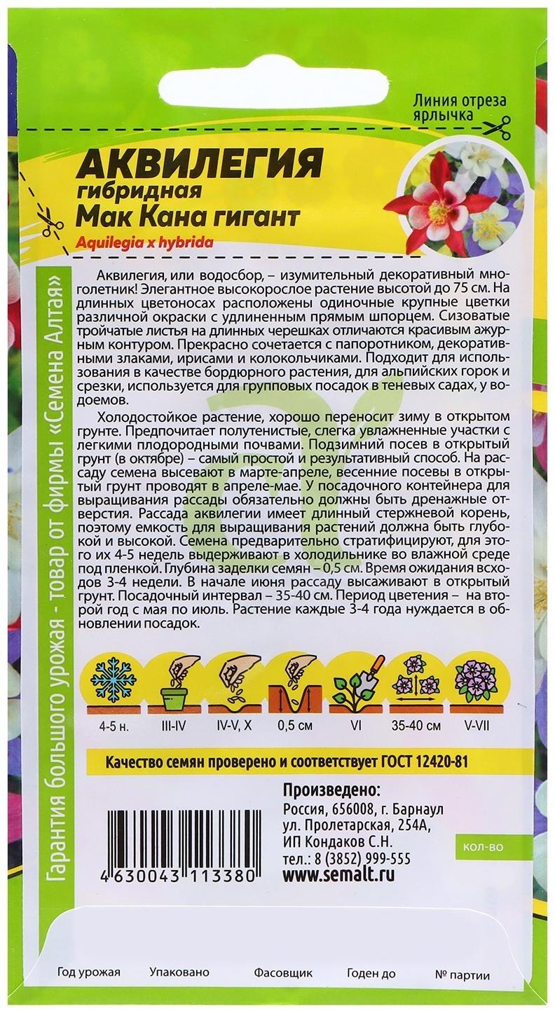 Семена Аквилегия 