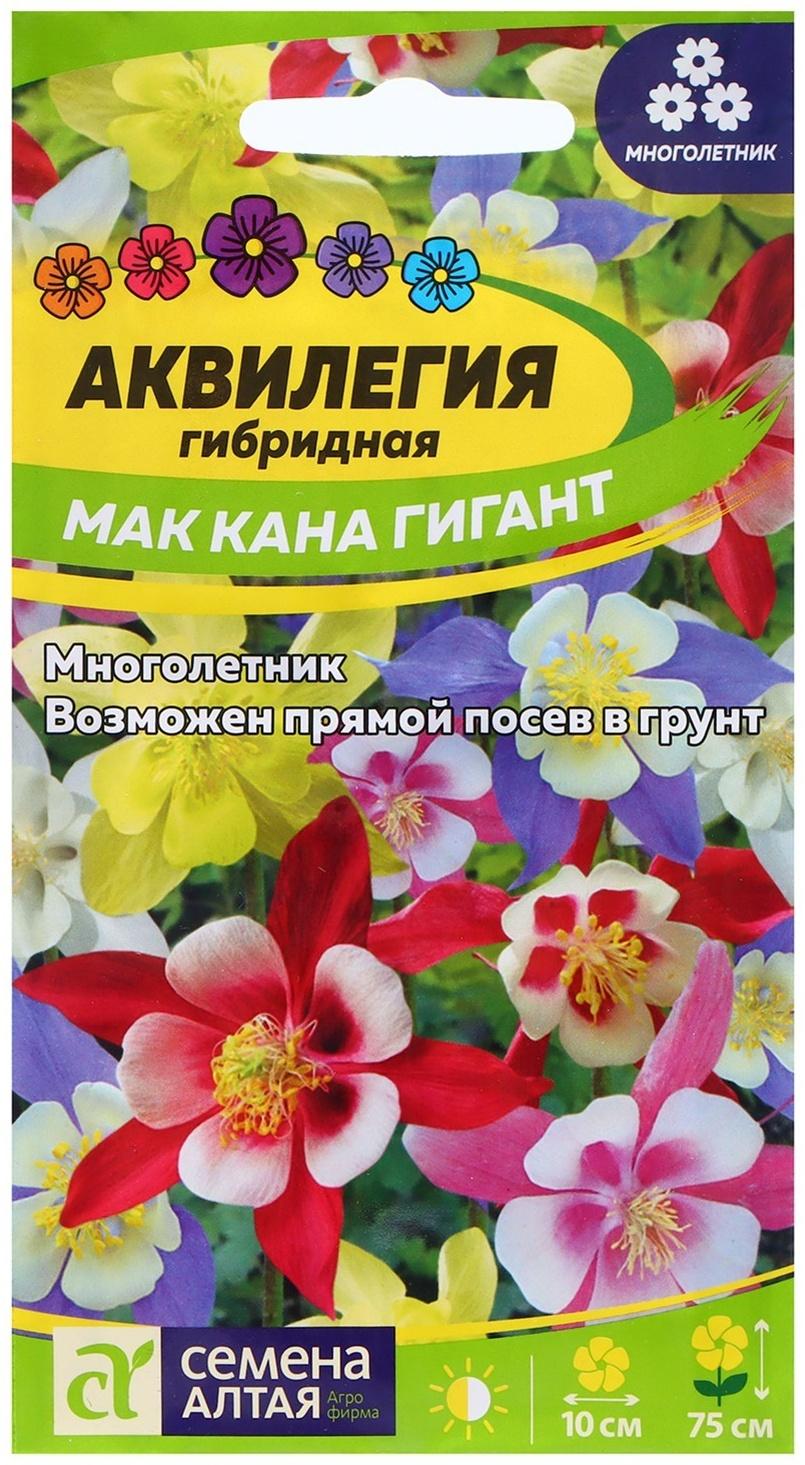 Семена Аквилегия 