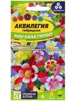 Семена Аквилегия 