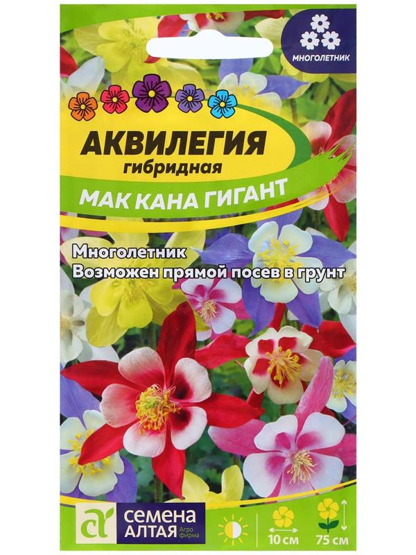 Семена Аквилегия 