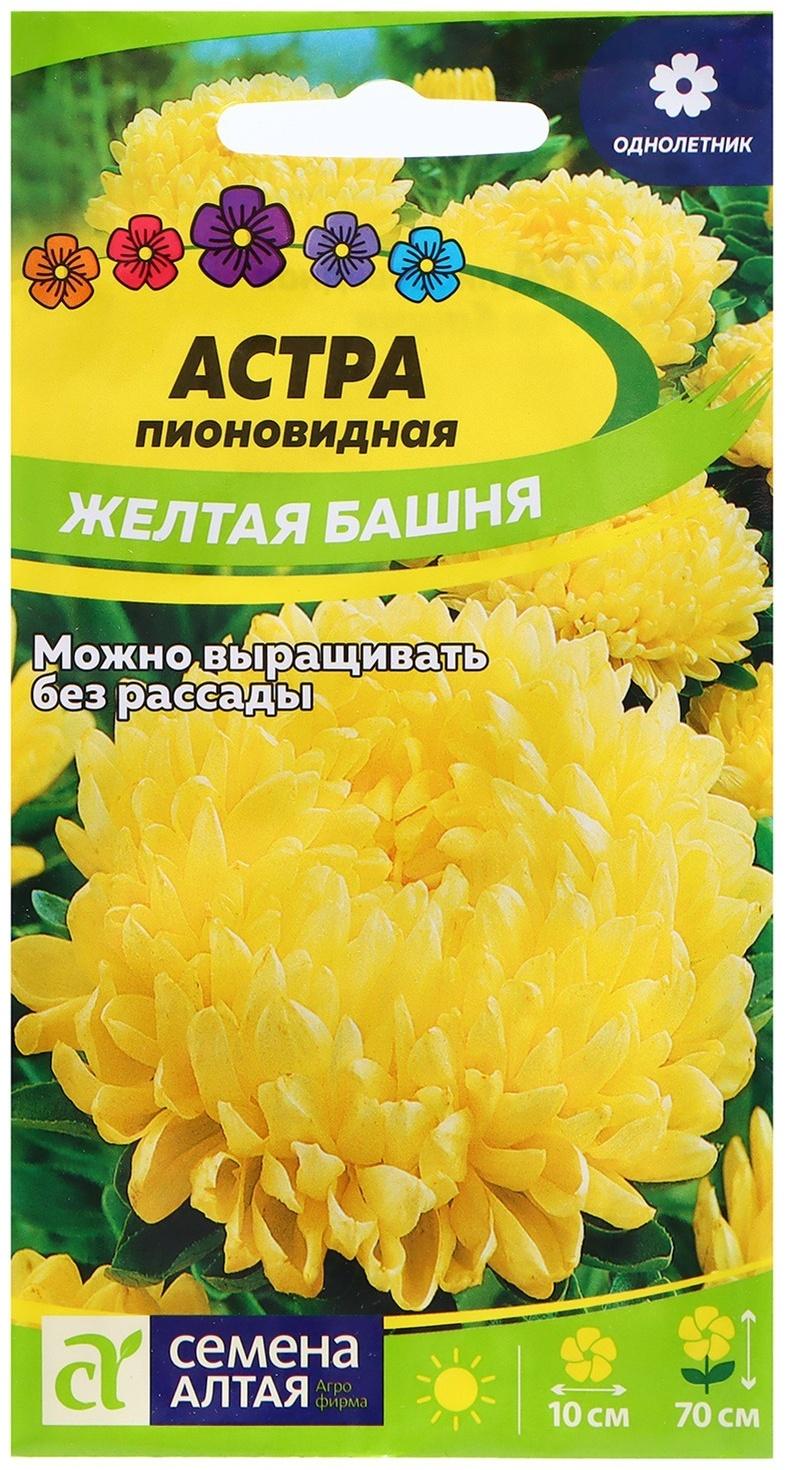 Семена Астра 