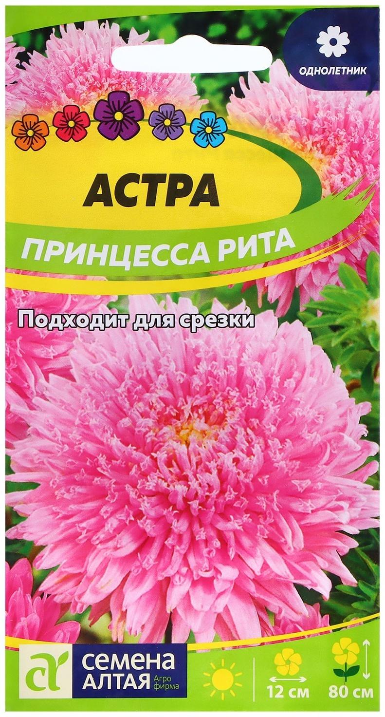 Семена Астра 