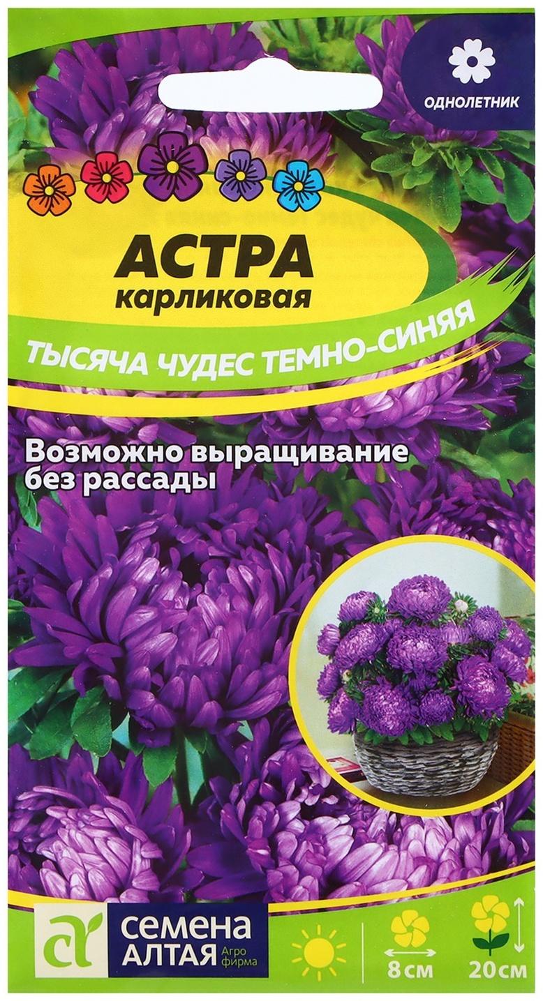 Семена Астра 