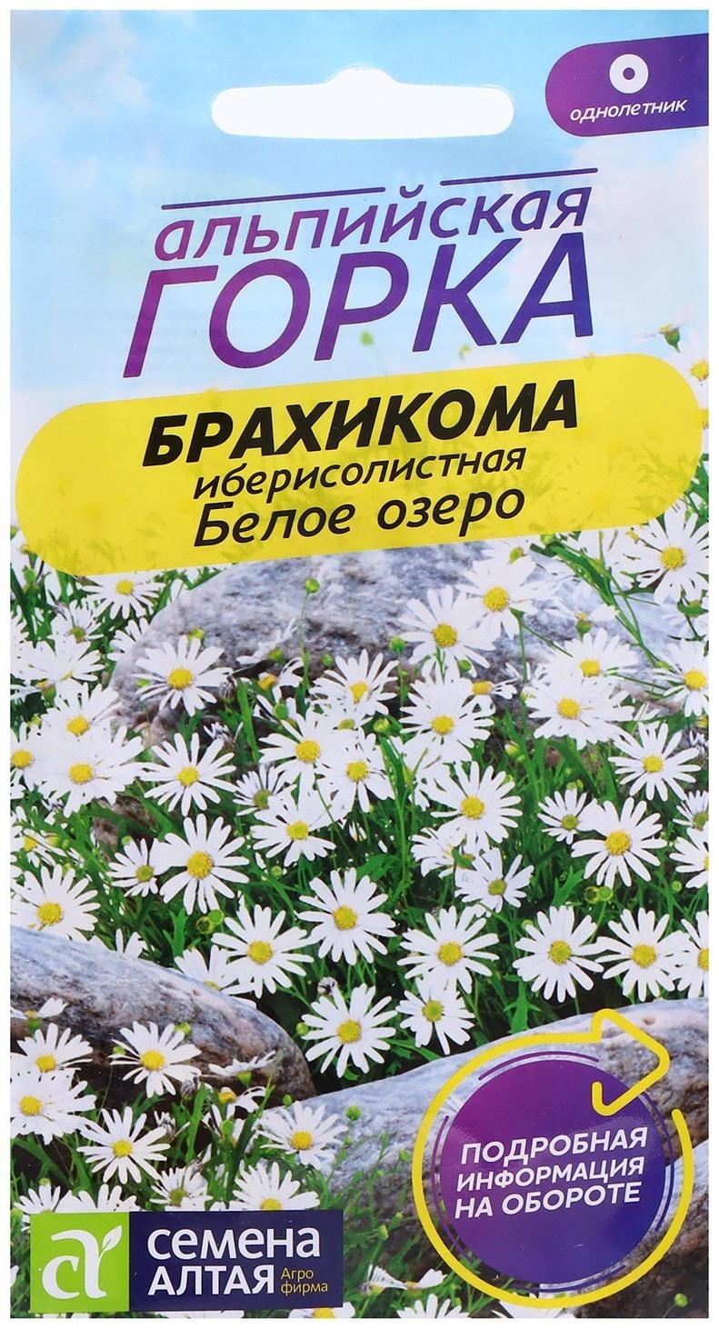 Семена Брахикома 